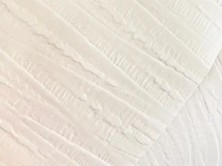 Papel de Parede Casca De Árvore